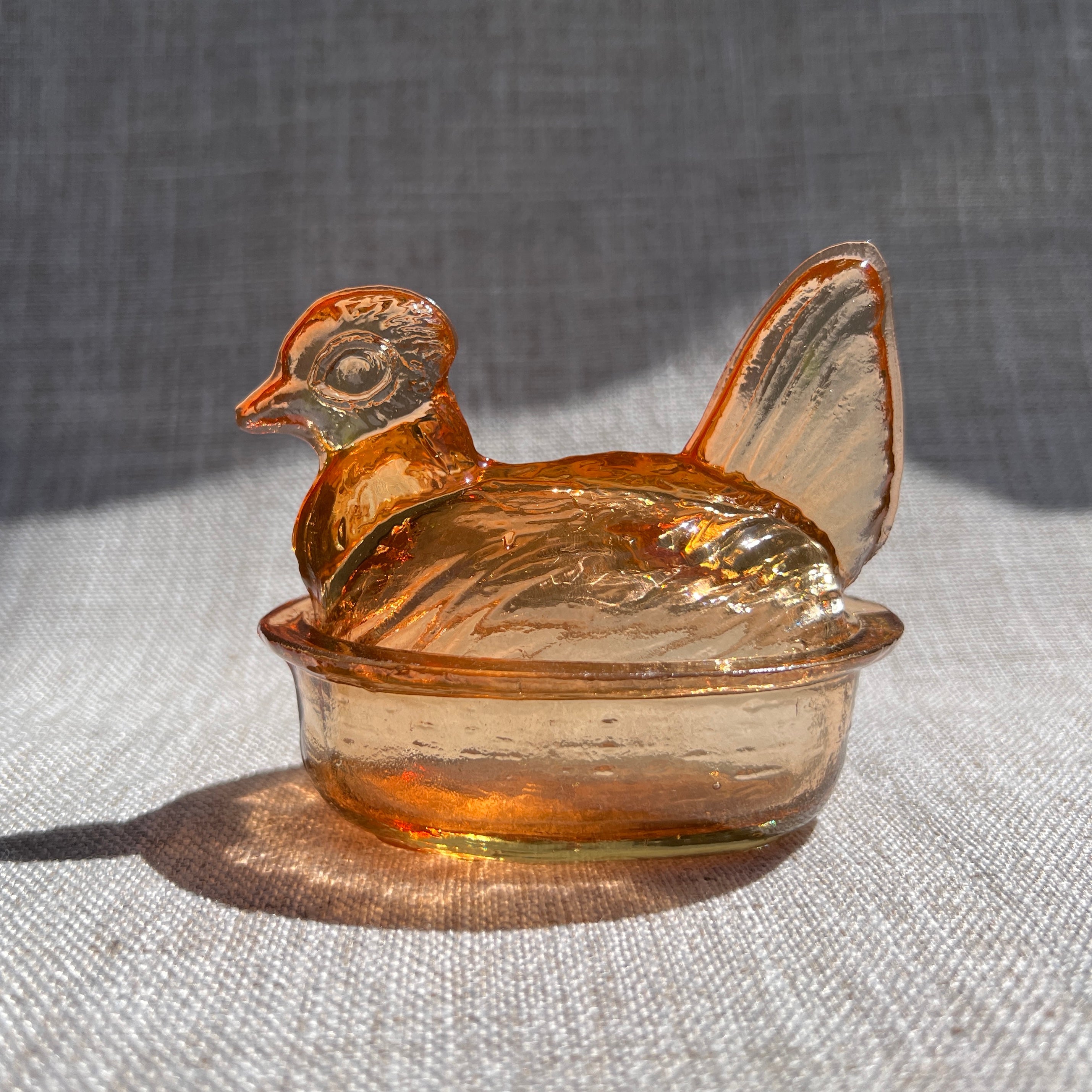Nesting Hen Bowl & Lid - MAPLE | Hand Blown Glass - Colombia